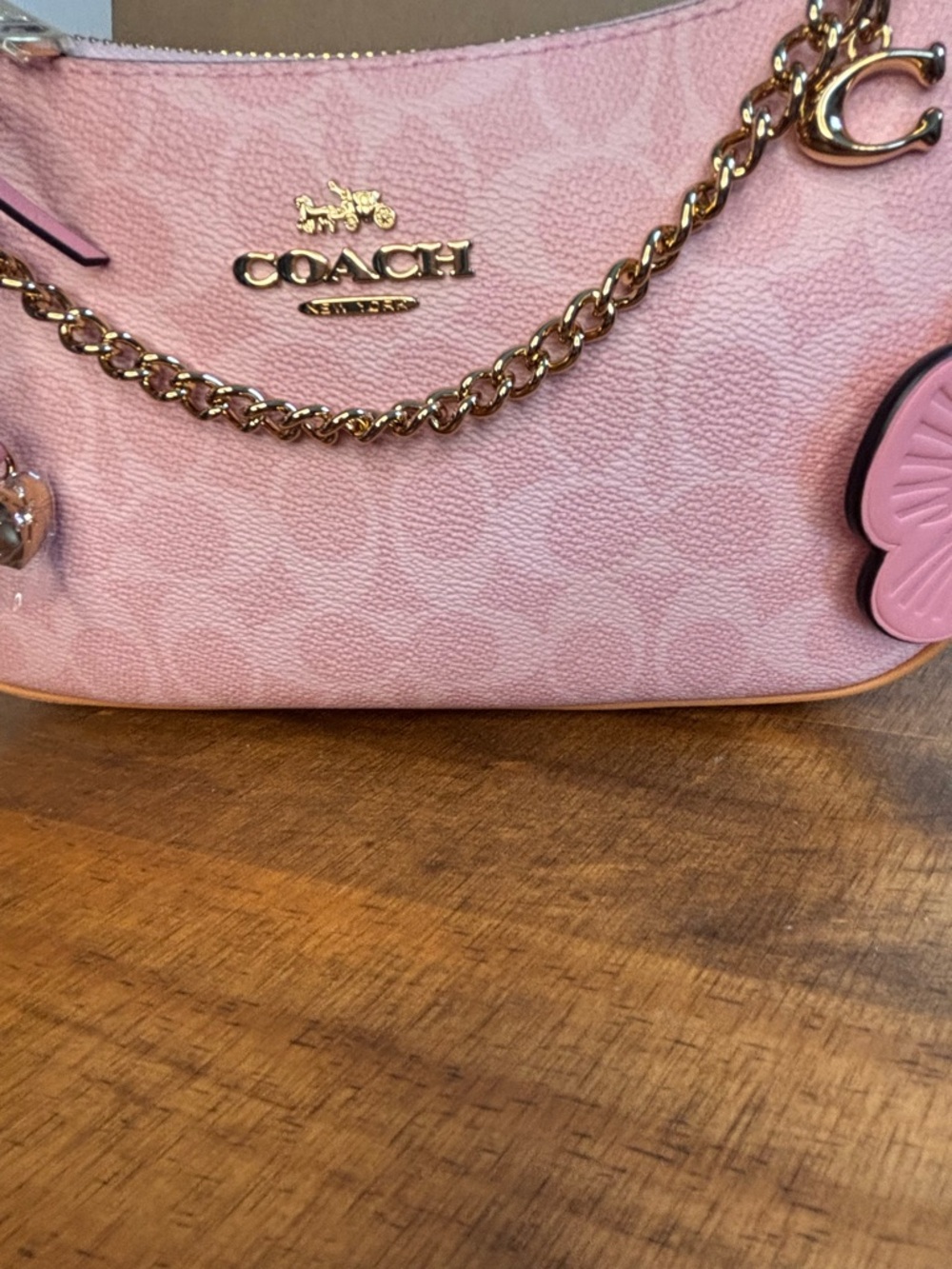 Coach Powder Pink Teri
Shoulder Bag with Charms
NEW CEA20 - Picture 8 of 13